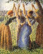 Camille Pissarro Planting scenes oil painting reproduction